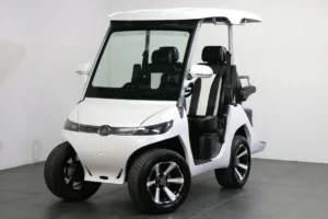 White 2024 Evolution D3 electric golf cart