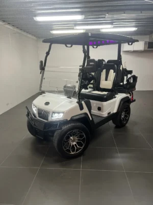 2024 Paladin Evolution D5 golf cart