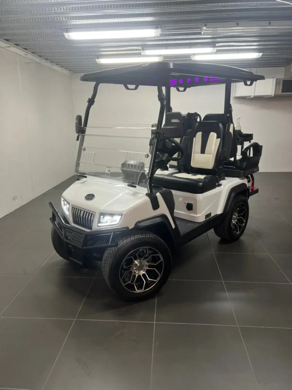 2024 Paladin Evolution D5 golf cart