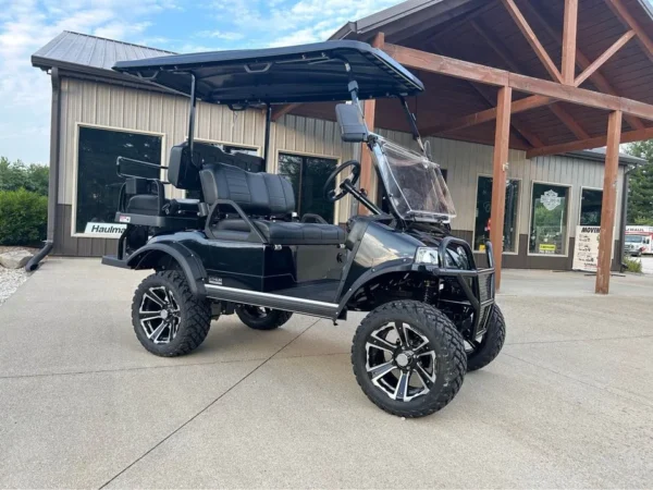 2023 Evolution Forester plus 4 golf cart - Image 3