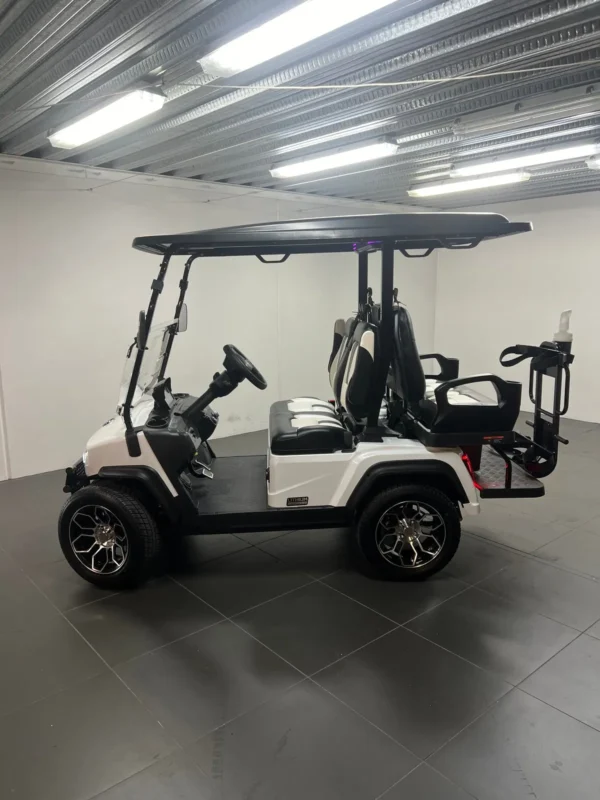 2024 Paladin Evolution D5 golf cart - Image 2