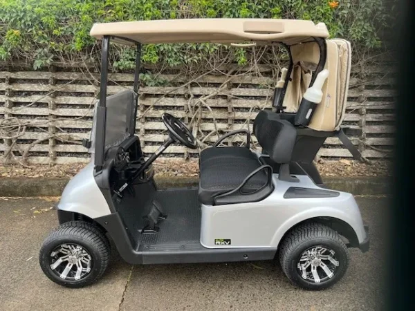 Ezgo rxv elite golf cart electric 2019
