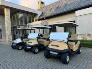 2008 Club Car Precedent 2 Seater Golf Cart