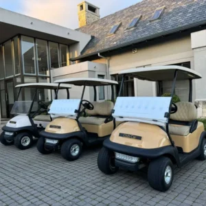 2008 Club Car Precedent 2 Seater Golf Cart