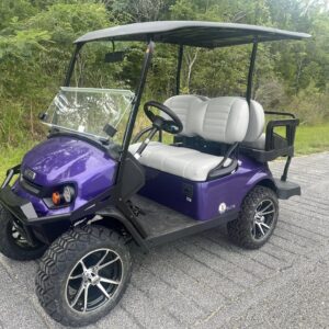 2024 Ezgo s4 Lithium golf cart for sale