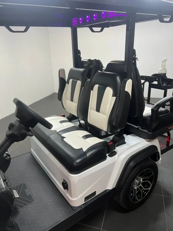 2024 Paladin Evolution D5 golf cart - Image 4