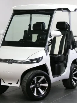 White 2024 Evolution D3 electric golf cart