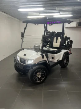 2024 Paladin Evolution D5 golf cart