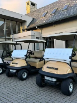 2008 Club Car Precedent 2 Seater Golf Cart