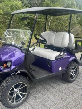 2024 Ezgo s4 Lithium golf cart for sale
